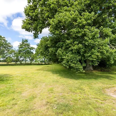 Pet Friendly In With Kitchen *